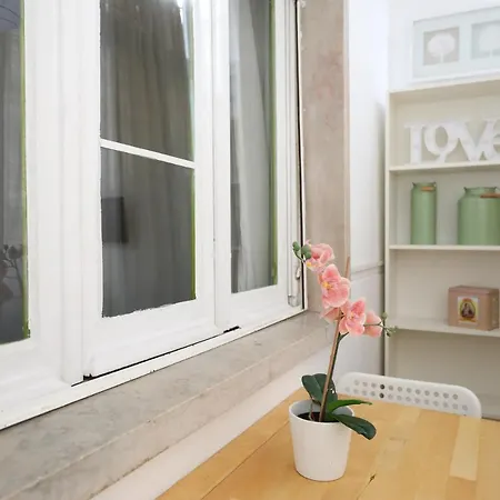 公寓 Cool Flat With Big Patio In Center Lisboa
